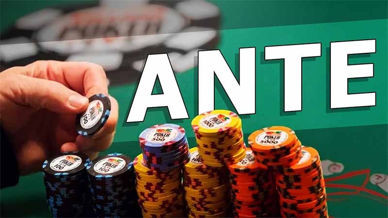 Ante Poker Là Gì? Hướng Dẫn Chi Tiết Từ Cơ Bản Đến Nâng Cao