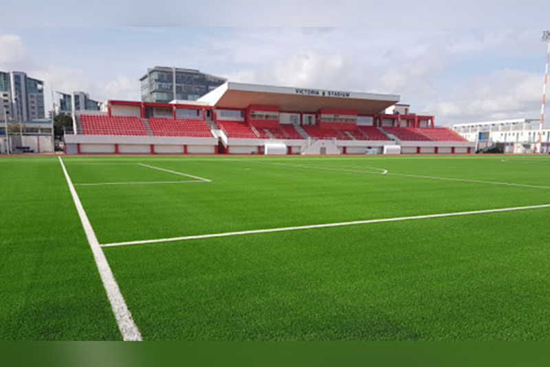 Đường Pitch Là Gì? Khám Phá Vai Trò Và Ý Nghĩa Của Đường Pitch