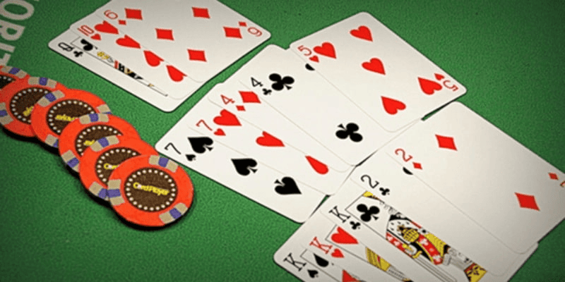 Cù Lũ Trong Binh Xập Xám Là Gì? Cách Nhận Biết Và Hiểu Đúng Bộ Bài